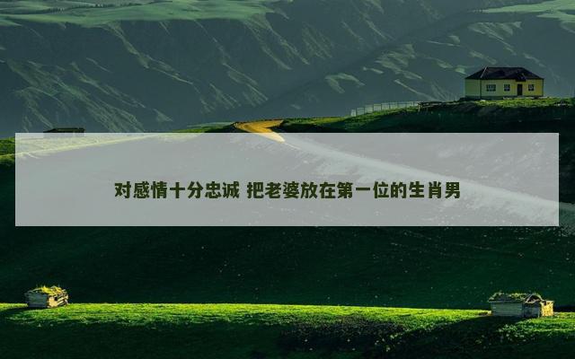 对感情十分忠诚 把老婆放在第一位的生肖男