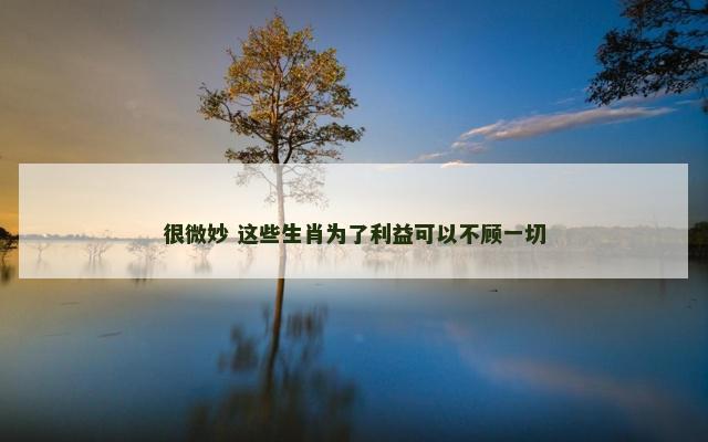 很微妙 这些生肖为了利益可以不顾一切