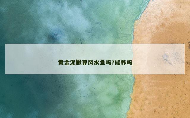 黄金泥鳅算风水鱼吗?能养吗