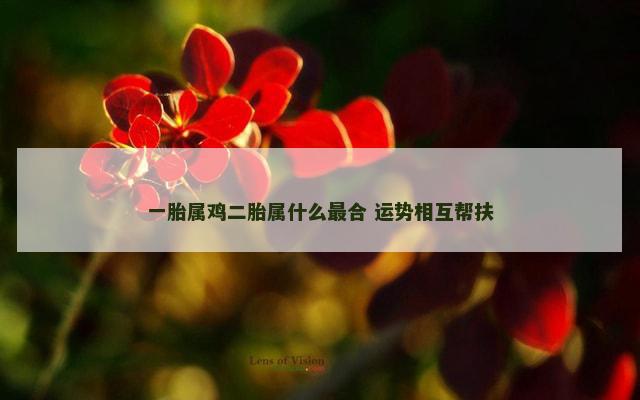 一胎属鸡二胎属什么最合 运势相互帮扶