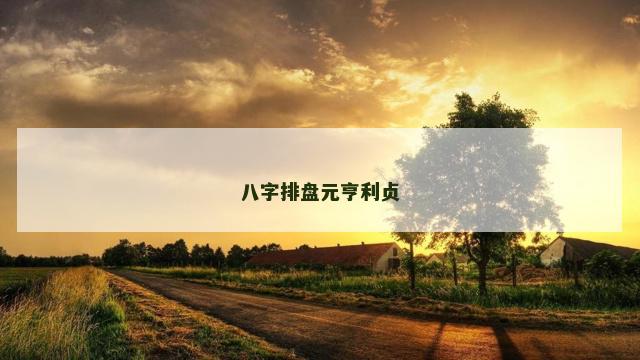 八字排盘元亨利贞
