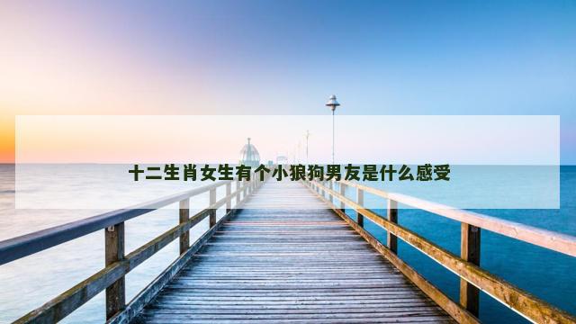 十二生肖女生有个小狼狗男友是什么感受