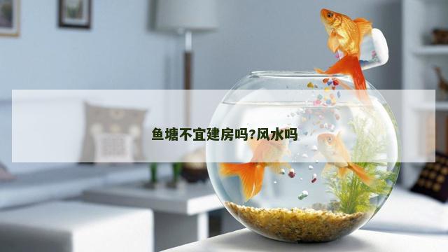 鱼塘不宜建房吗?风水吗
