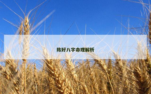 陈好八字命理解析