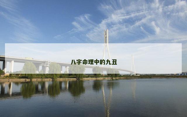 八字命理中的九丑