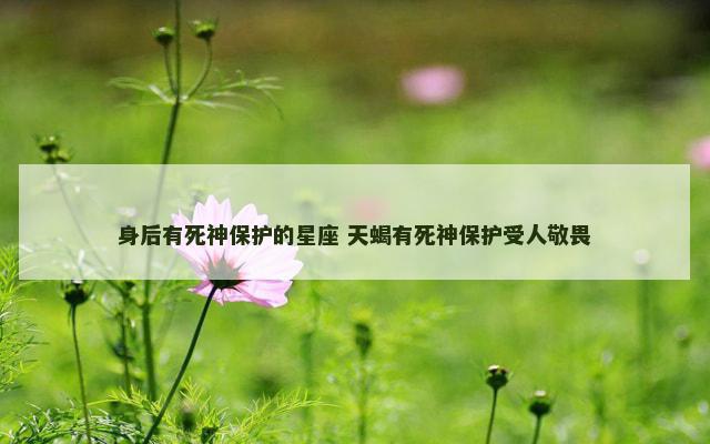身后有死神保护的星座 天蝎有死神保护受人敬畏