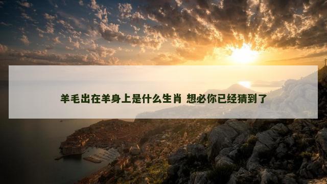 羊毛出在羊身上是什么生肖 想必你已经猜到了