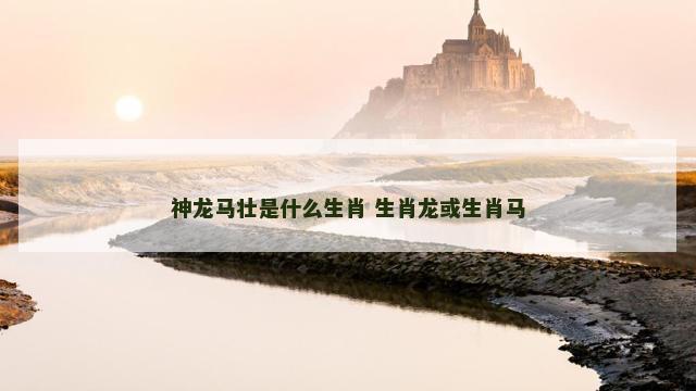神龙马壮是什么生肖 生肖龙或生肖马