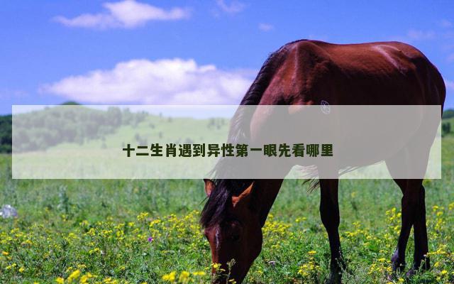 十二生肖遇到异性第一眼先看哪里