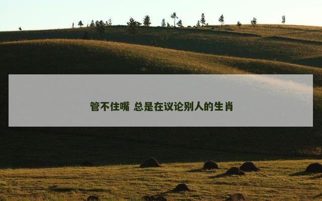 管不住嘴 总是在议论别人的生肖