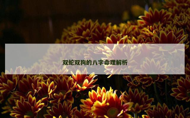 双蛇双狗的八字命理解析
