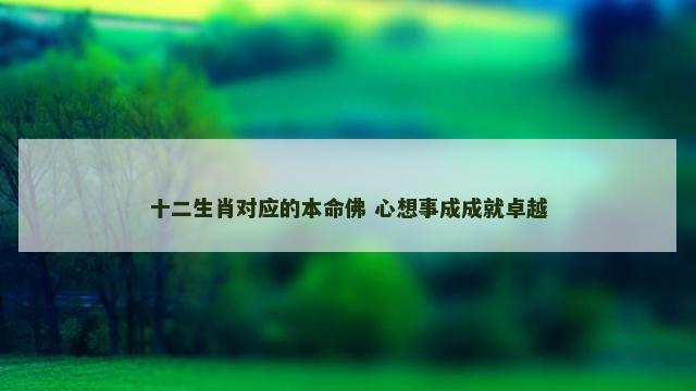 十二生肖对应的本命佛 心想事成成就卓越