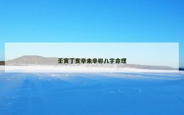 壬寅丁亥辛未辛卯八字命理