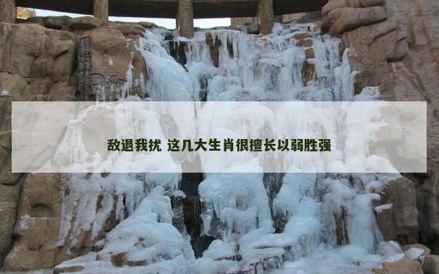 敌退我扰 这几大生肖很擅长以弱胜强
