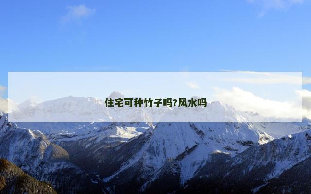 住宅可种竹子吗?风水吗