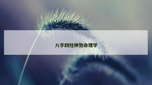 八字四柱神煞命理学