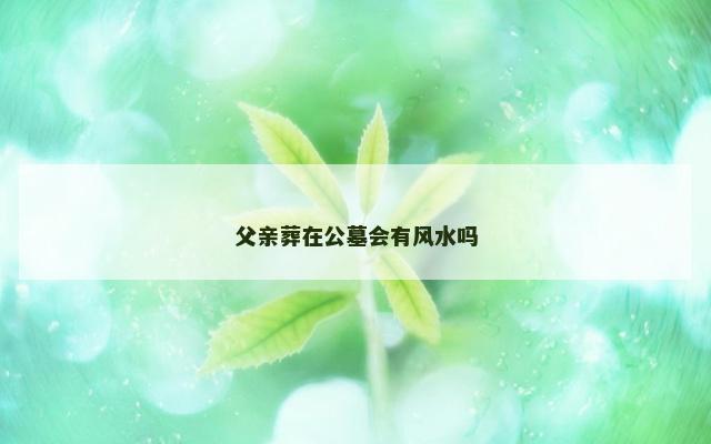 父亲葬在公墓会有风水吗