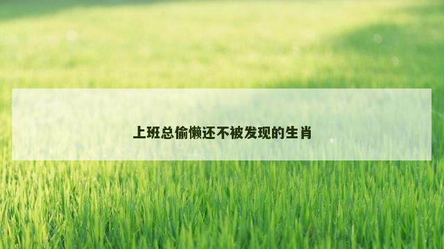 上班总偷懒还不被发现的生肖