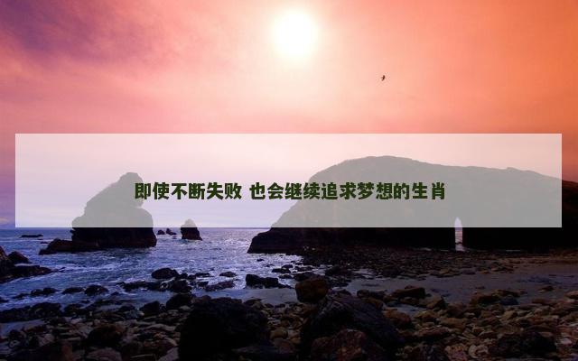 即使不断失败 也会继续追求梦想的生肖