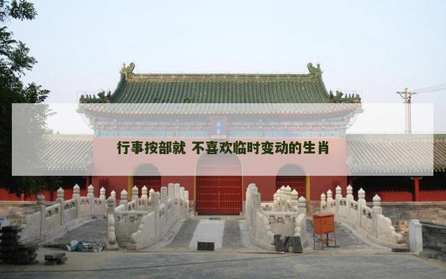 行事按部就 不喜欢临时变动的生肖