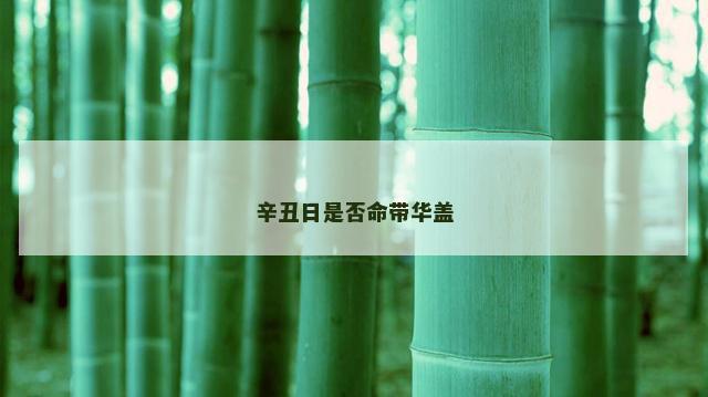 辛丑日是否命带华盖