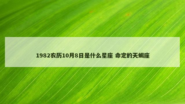 1982农历10月8日是什么星座 命定的天蝎座