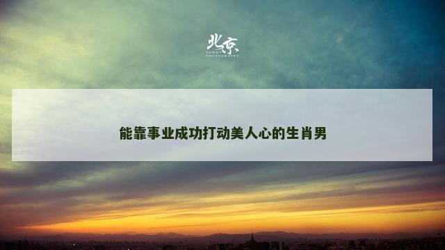 能靠事业成功打动美人心的生肖男