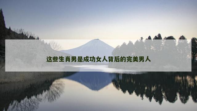 这些生肖男是成功女人背后的完美男人