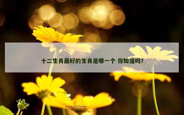 十二生肖最好的生肖是哪一个 你知道吗？
