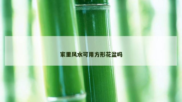 家里风水可用方形花盆吗