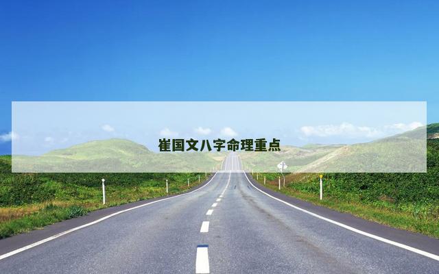崔国文八字命理重点