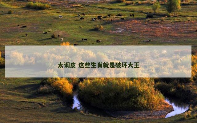太调皮 这些生肖就是破坏大王