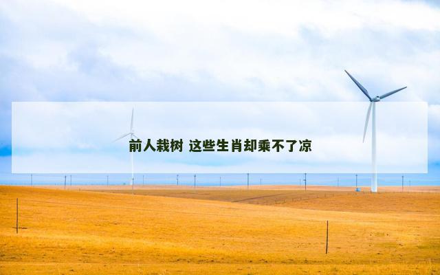 前人栽树 这些生肖却乘不了凉