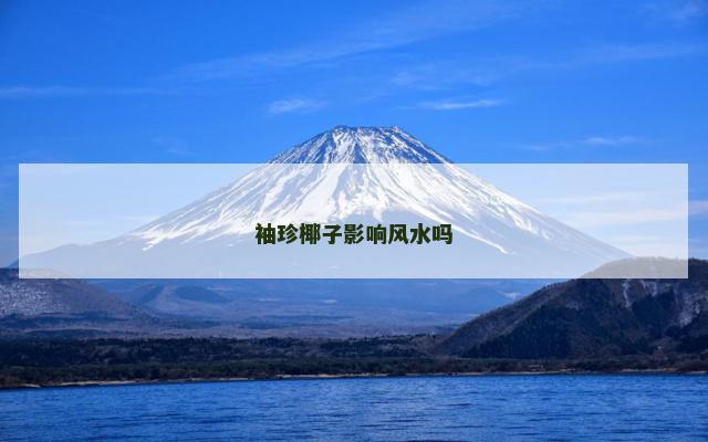 袖珍椰子影响风水吗