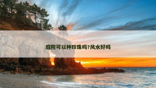 庭院可以种珍珠吗?风水好吗