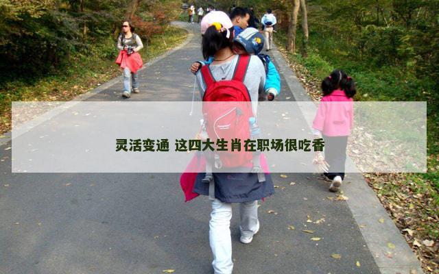 灵活变通 这四大生肖在职场很吃香
