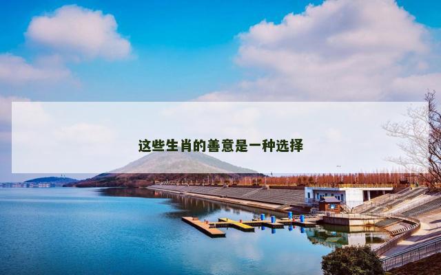 这些生肖的善意是一种选择