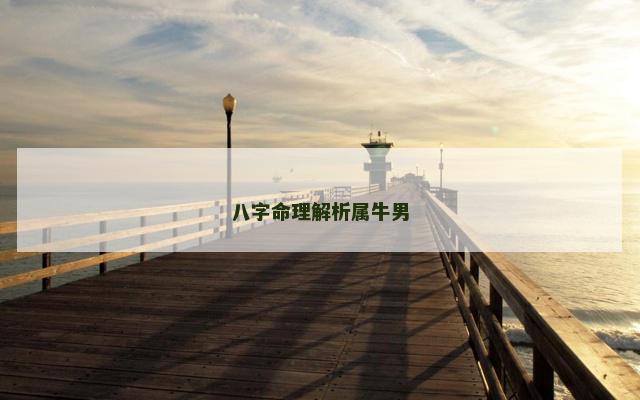 八字命理解析属牛男