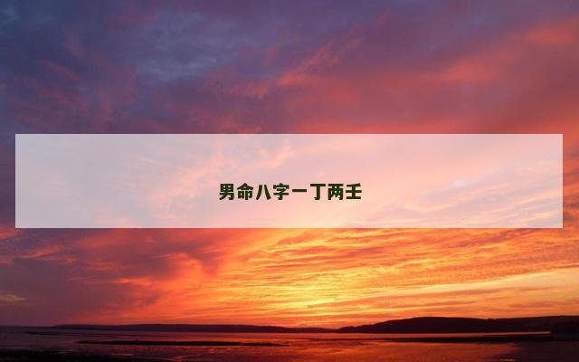 男命八字一丁两壬
