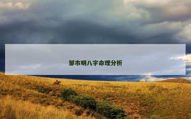 邹市明八字命理分析
