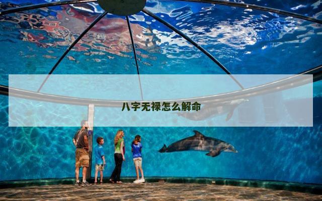 八字无禄怎么解命