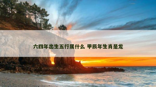 六四年出生五行属什么 甲辰年生肖是龙