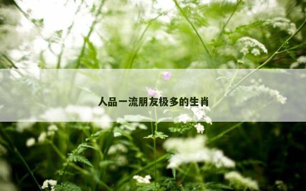 人品一流朋友极多的生肖