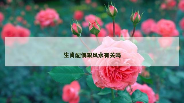 生肖配偶跟风水有关吗