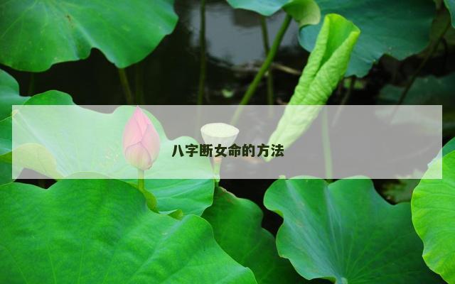 八字断女命的方法