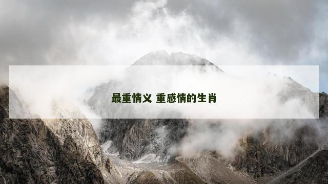 最重情义 重感情的生肖