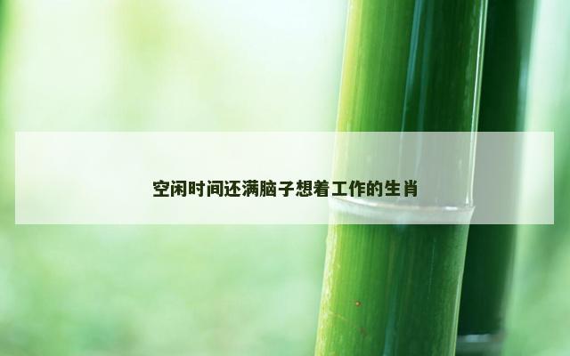 空闲时间还满脑子想着工作的生肖