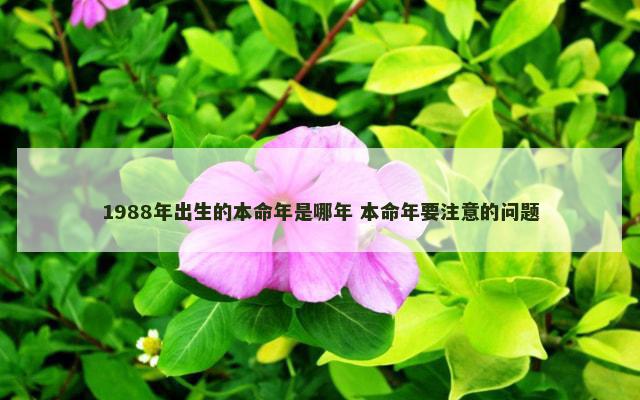 1988年出生的本命年是哪年 本命年要注意的问题