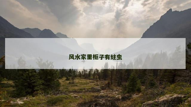 风水家里柜子有蛀虫