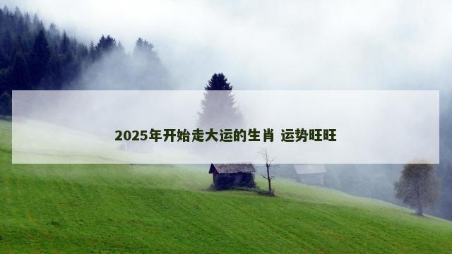 2025年开始走大运的生肖 运势旺旺